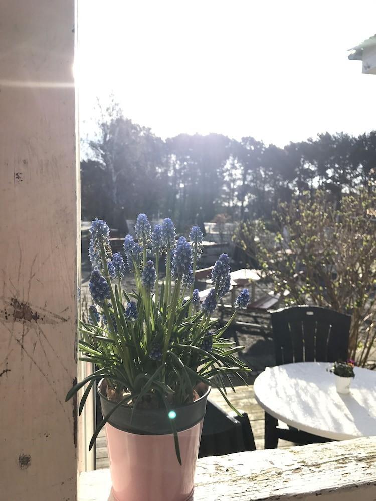 Ronne Vandrerhjem Bagian luar foto